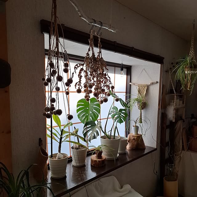 midoriさんの部屋