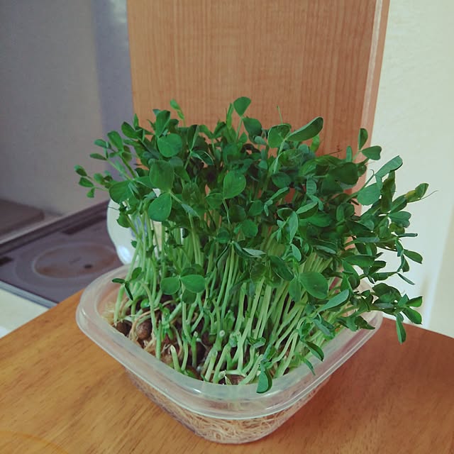 hiroさんの実例写真
