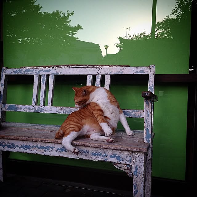 sakuさんの実例写真