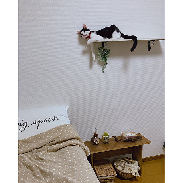 harukaさんの実例写真