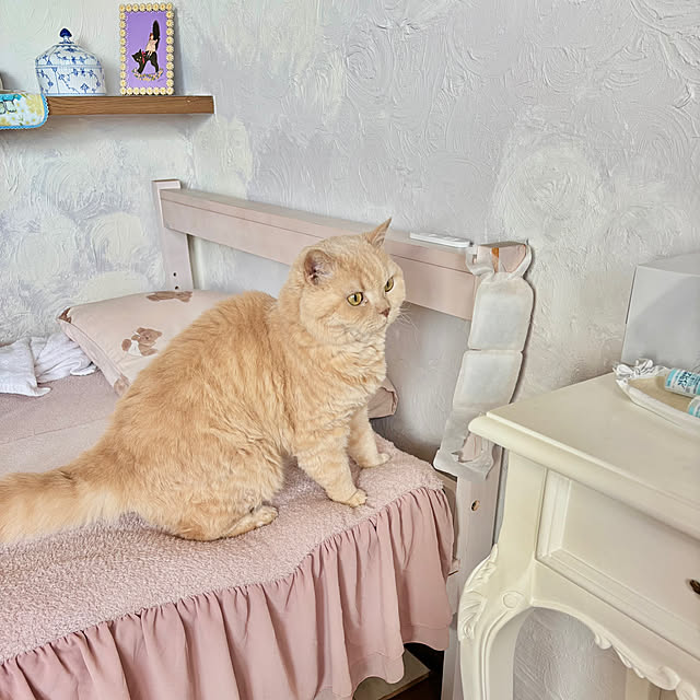 naokoさんの部屋