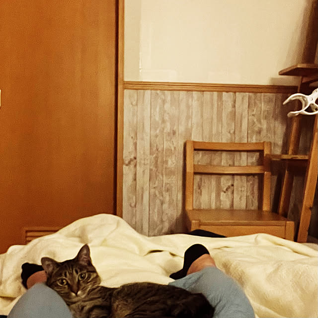 Mさんの実例写真