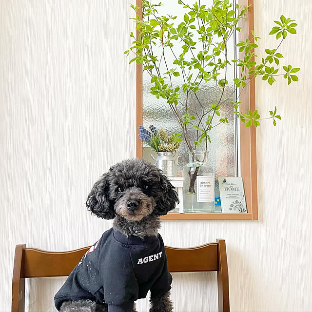 punknさんの実例写真