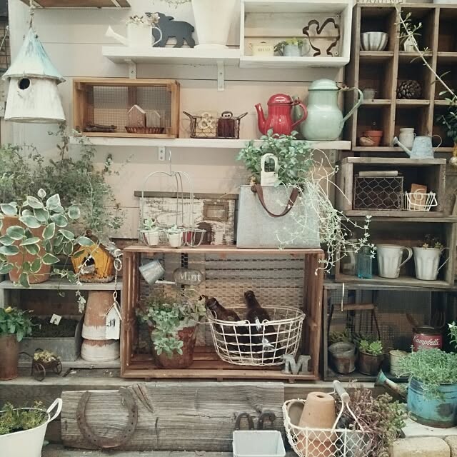 kokkomachaさんの実例写真