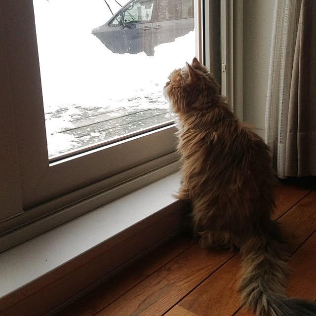 millomilloさんの実例写真