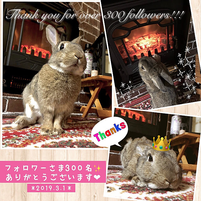 muuさんの実例写真