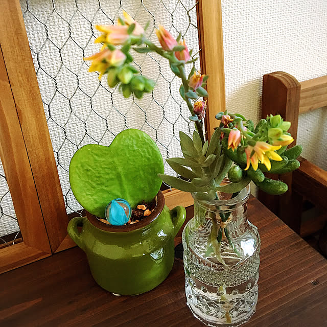 ayu.ayuko-esh77さんの実例写真