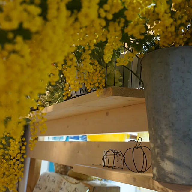 Gomaさんの実例写真
