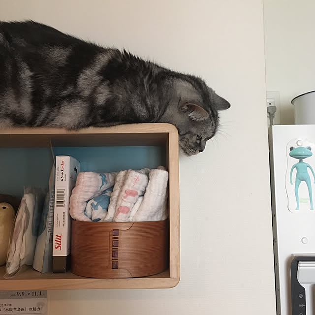 mikomaruさんの実例写真