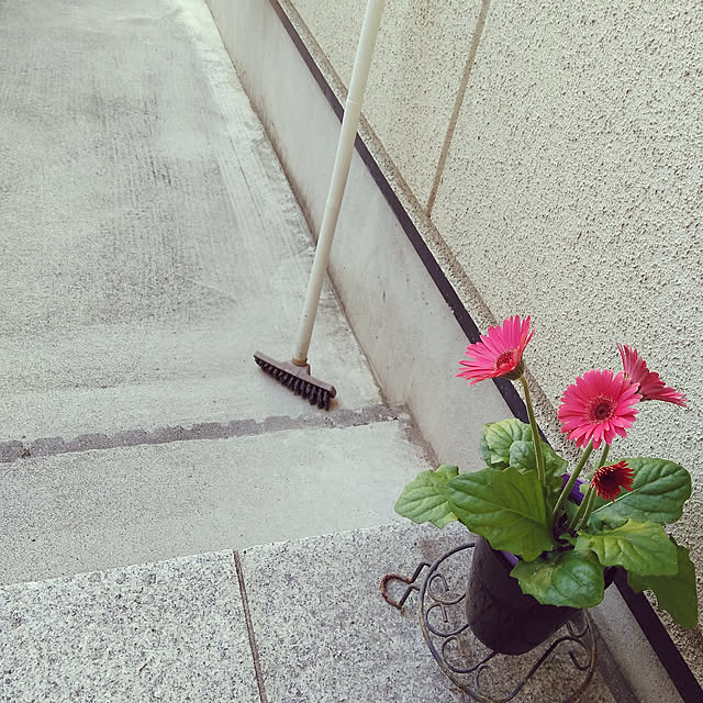 mintさんの実例写真