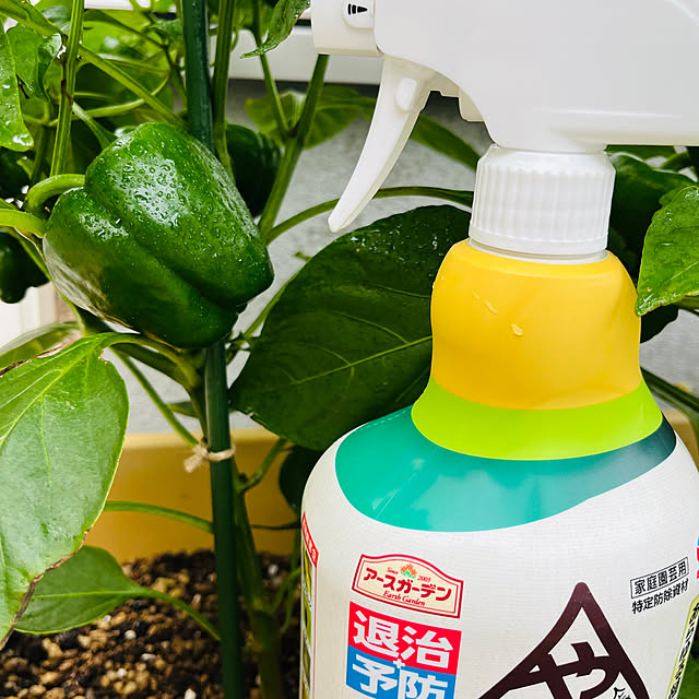 hirakou1207さんの実例写真