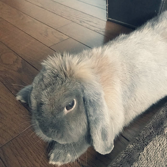 AZUさんの実例写真