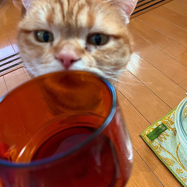 k.mさんの部屋