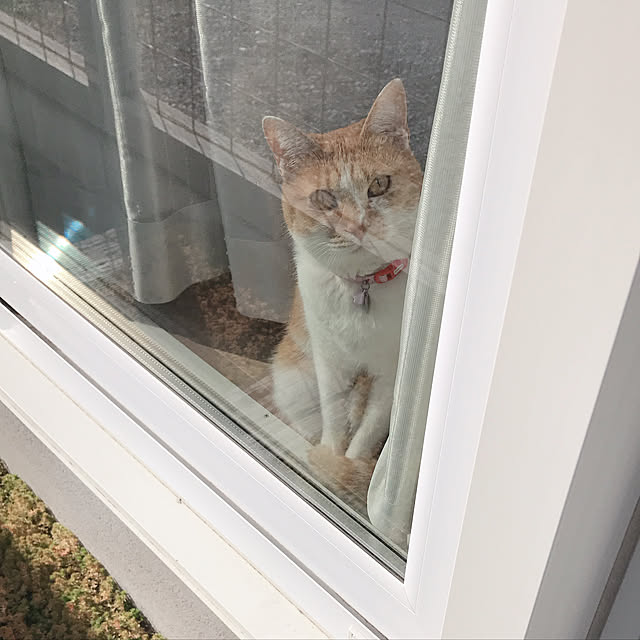 Yさんの実例写真
