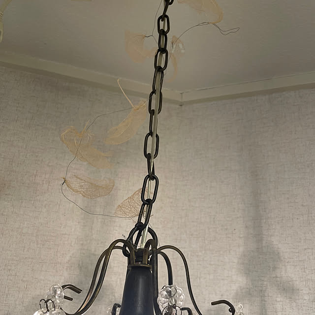 nanaさんの部屋