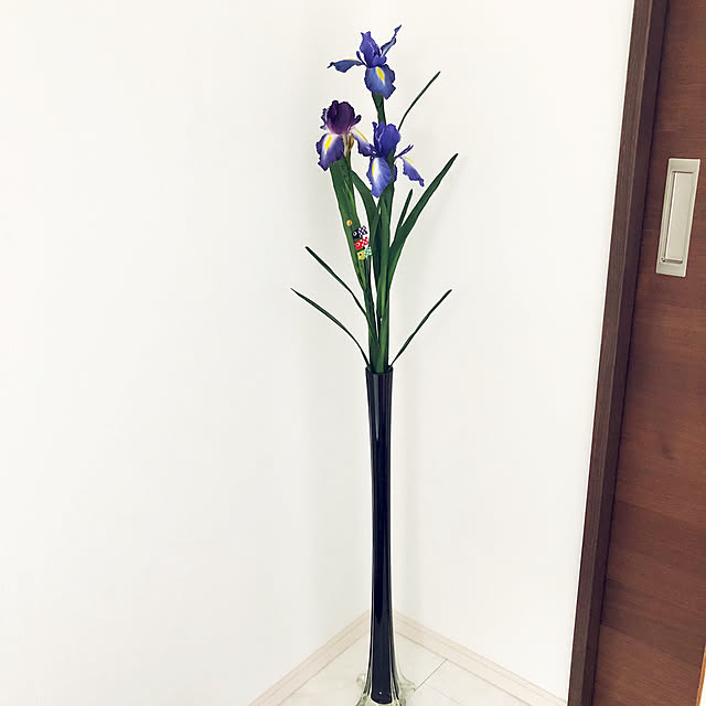 moppaさんの実例写真