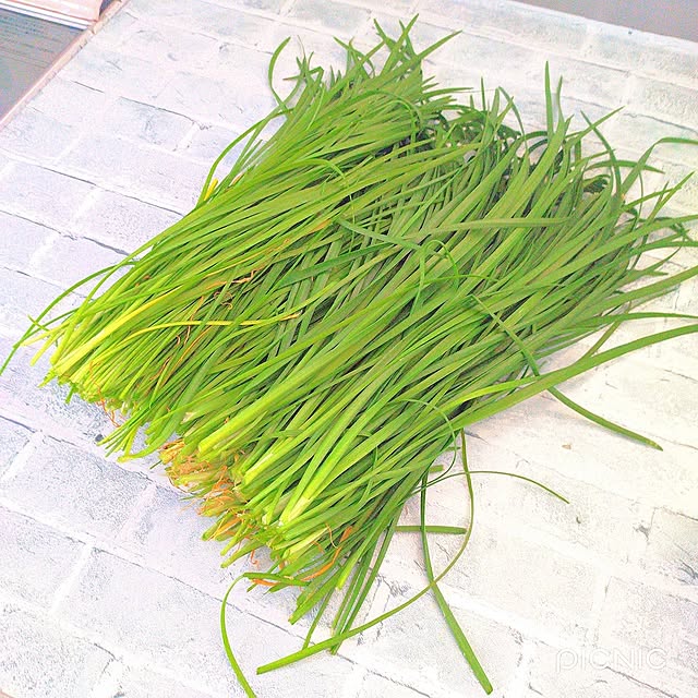 Miyumamaさんの実例写真