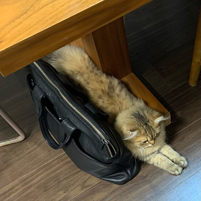 nananaさんの実例写真