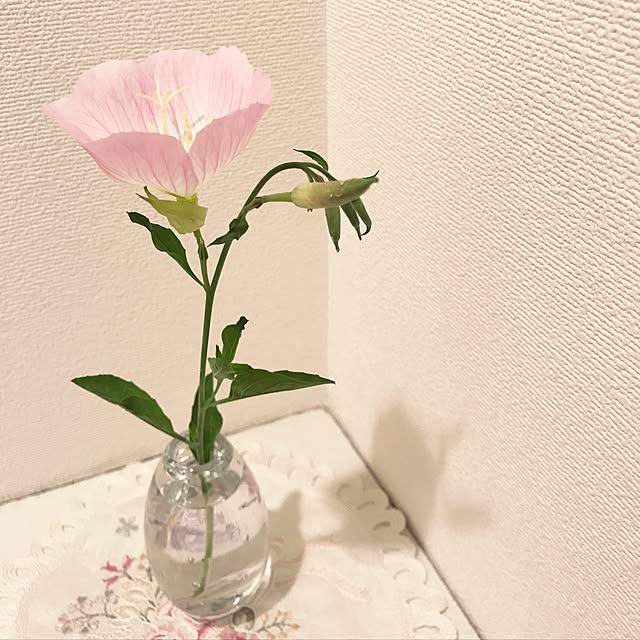 marikorocoroさんの実例写真