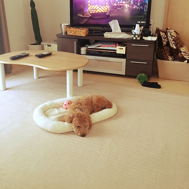 momo..and..kei..さんの実例写真