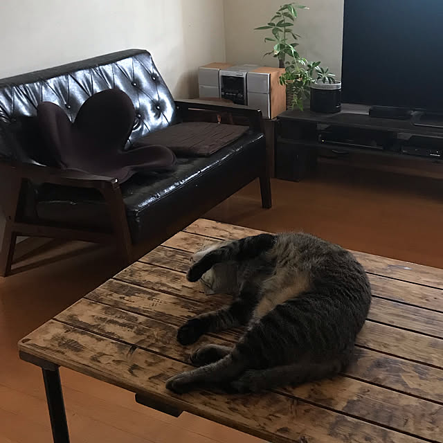 mikan161さんの実例写真
