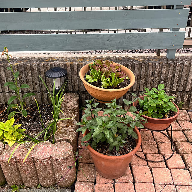 churasanさんの部屋