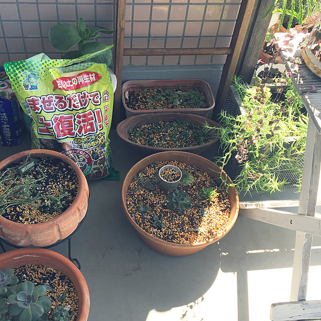 HKSさんの実例写真