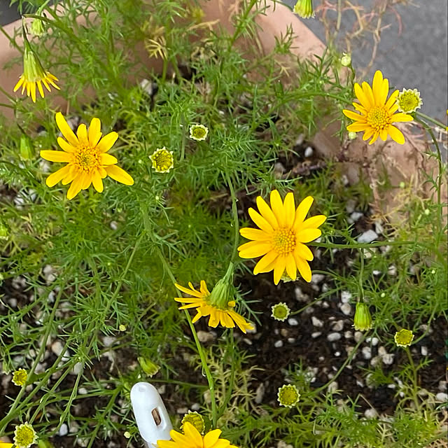 naturalさんの実例写真