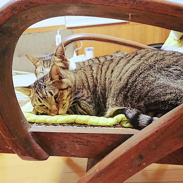 nachiさんの実例写真