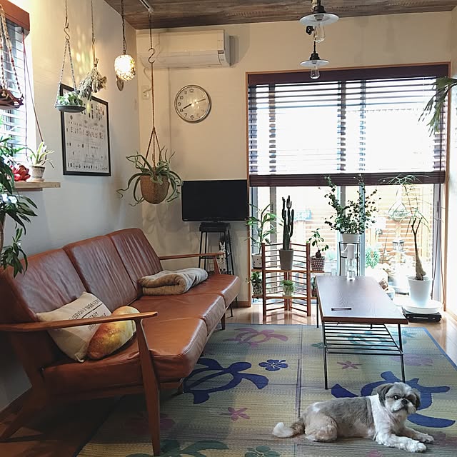 ANNAさんの実例写真