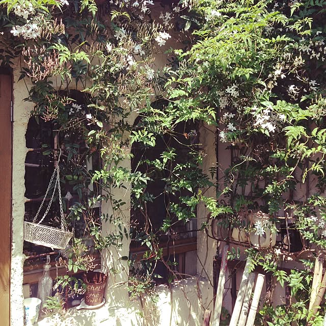 popoさんの実例写真