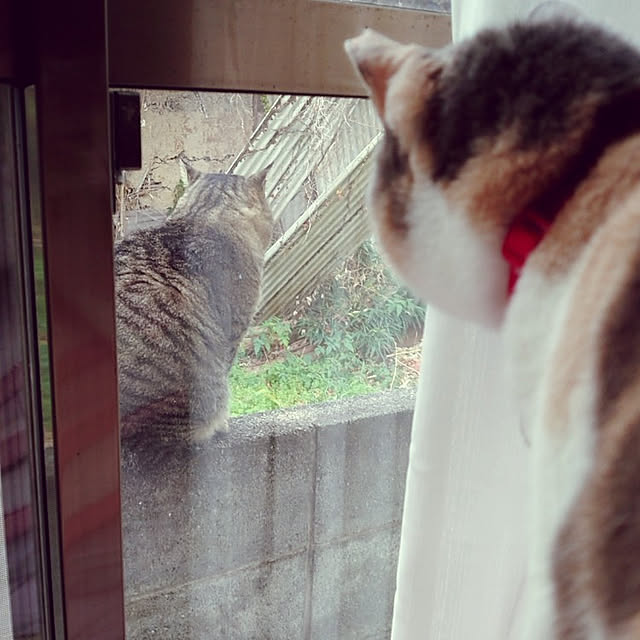 fukuさんの実例写真