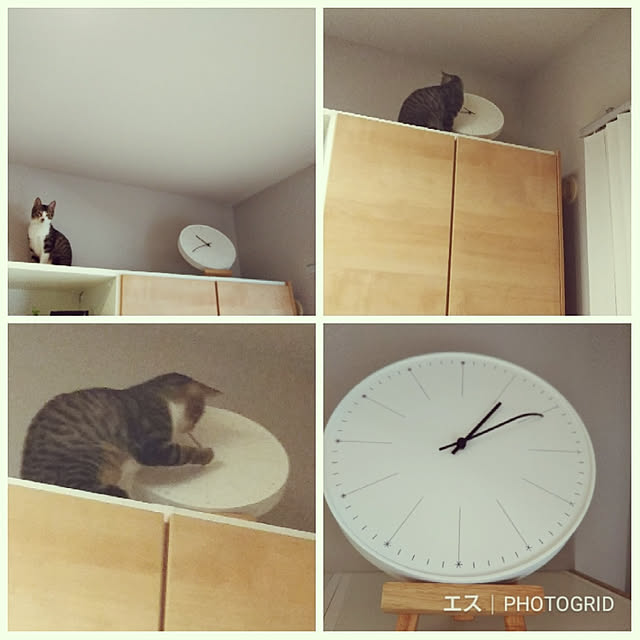 hanacocoさんの実例写真