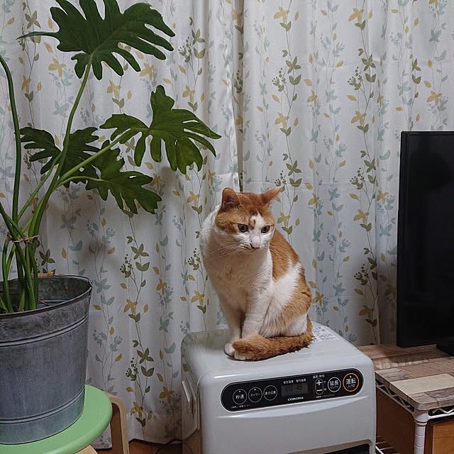 mugi77327732さんの実例写真