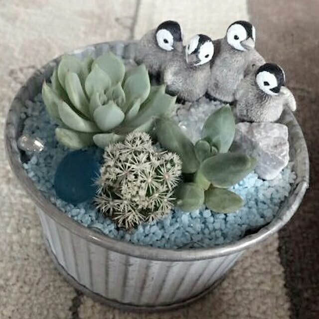 popoさんの実例写真