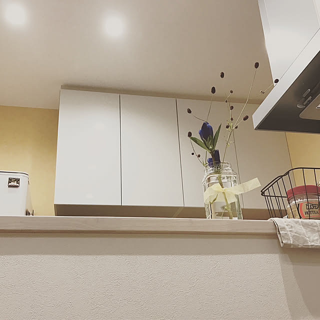 shioriさんの実例写真