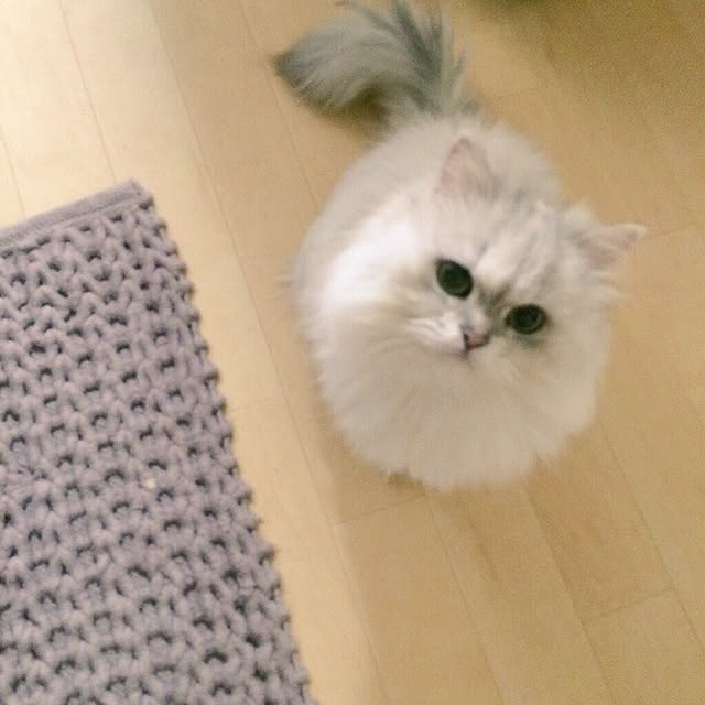 accoさんの実例写真