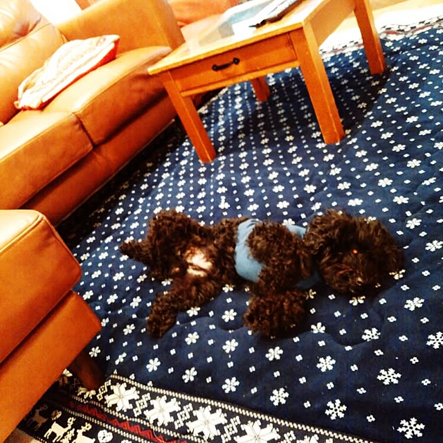 ChocolateNandasさんの実例写真
