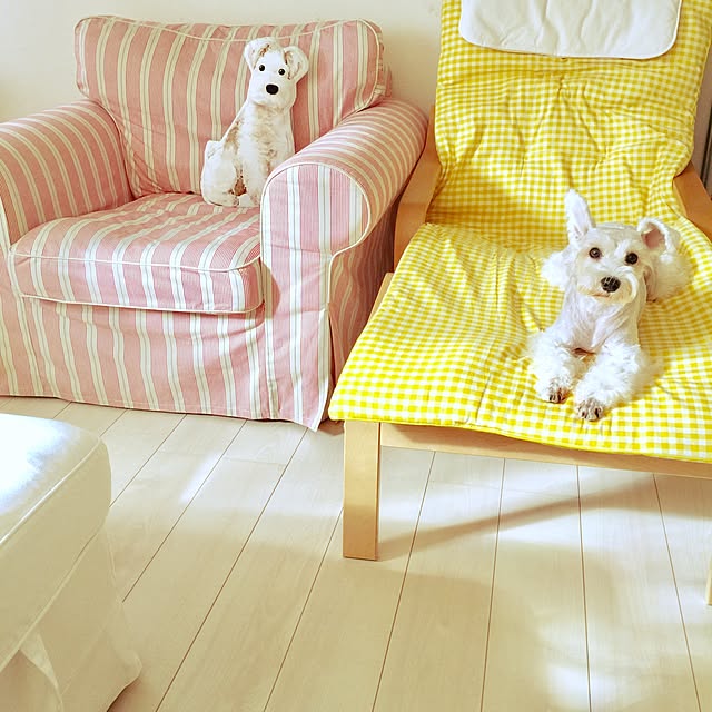 suzyさんの実例写真