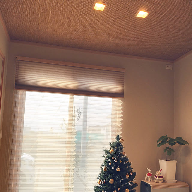 tan5さんの実例写真