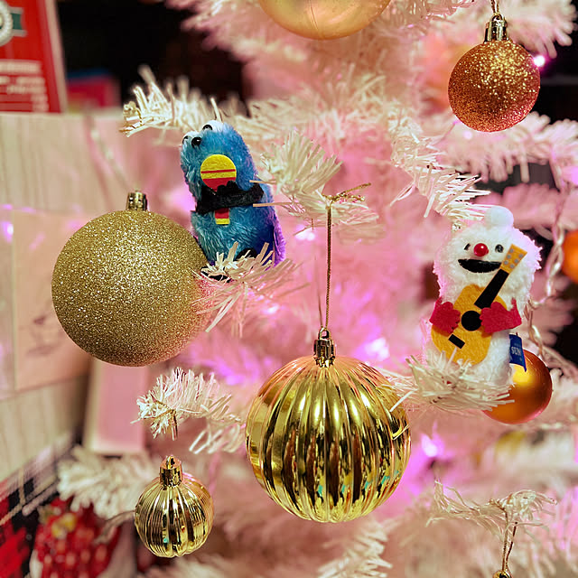 chi_koさんの実例写真