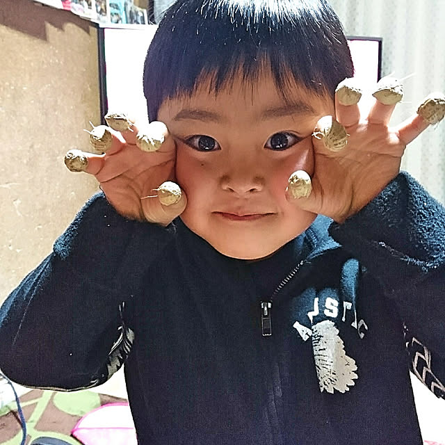 実例写真