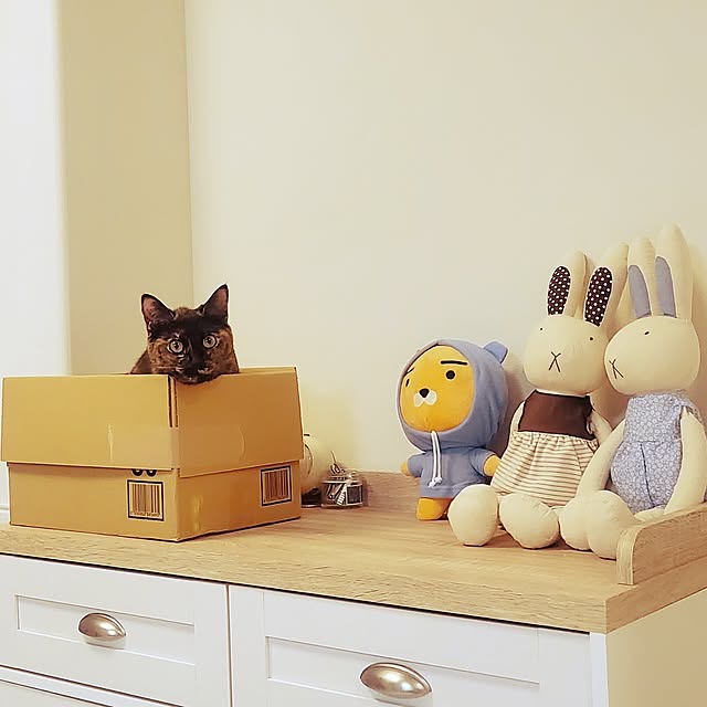JIHYEさんの実例写真