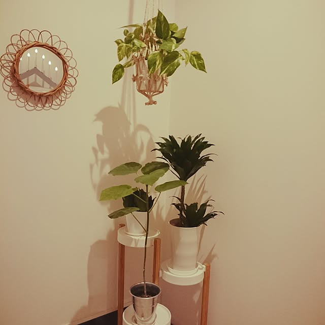 tk_home_さんの実例写真