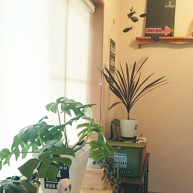 montboo5さんの実例写真