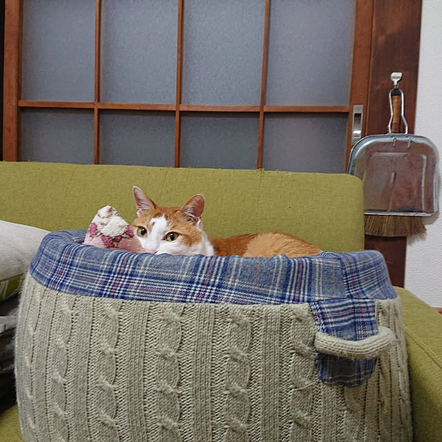 mugi77327732さんの実例写真