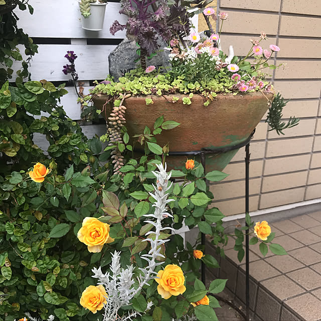miya.ayaさんの実例写真