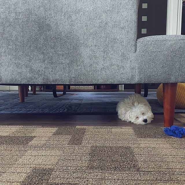 325unさんの実例写真