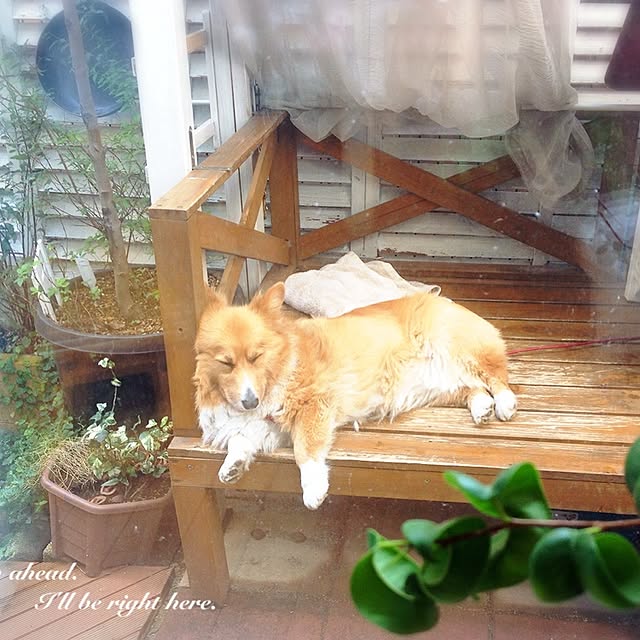 Suさんの実例写真