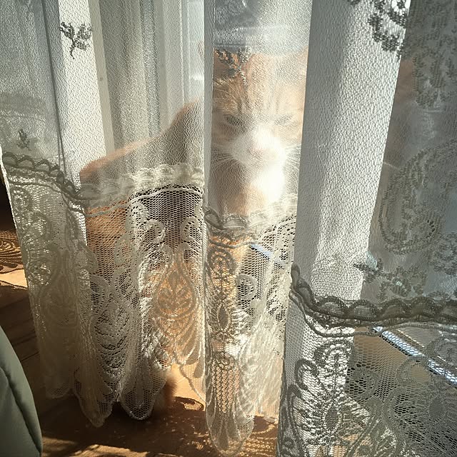 emiさんの実例写真